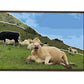 Country Bliss Canvas Wall Art