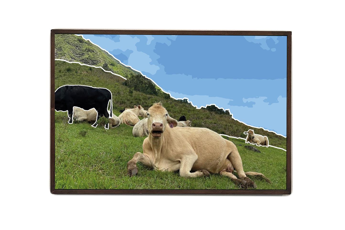 Country Bliss Canvas Wall Art